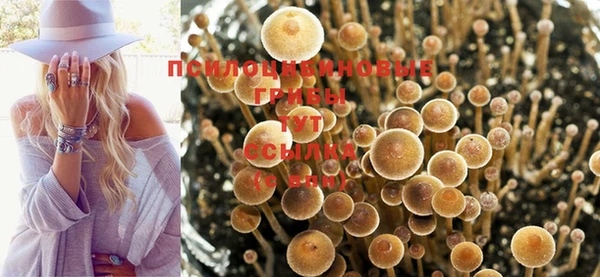 спиды Заволжск