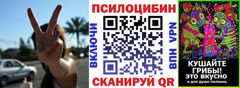 Псилоцибиновые грибы Cubensis  Купить закладки  Новоалександровск 